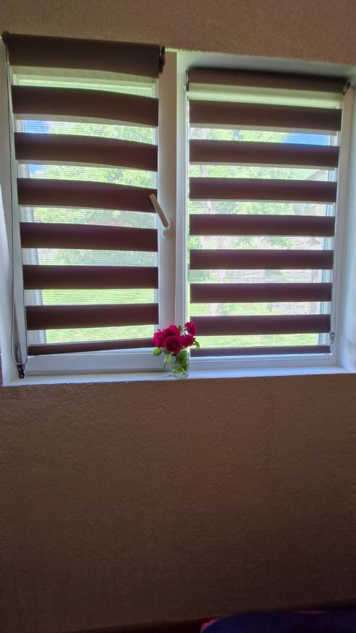 Mestialux Guesthouse מראה חיצוני תמונה